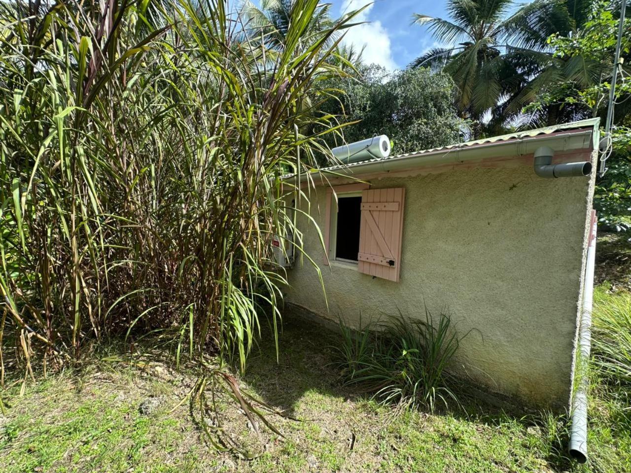 Gwada Reves Villa Sainte-Anne  Exteriör bild