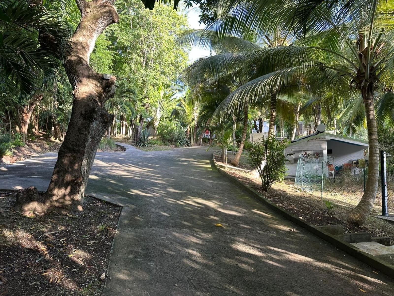 Gwada Reves Villa Sainte-Anne  Exteriör bild