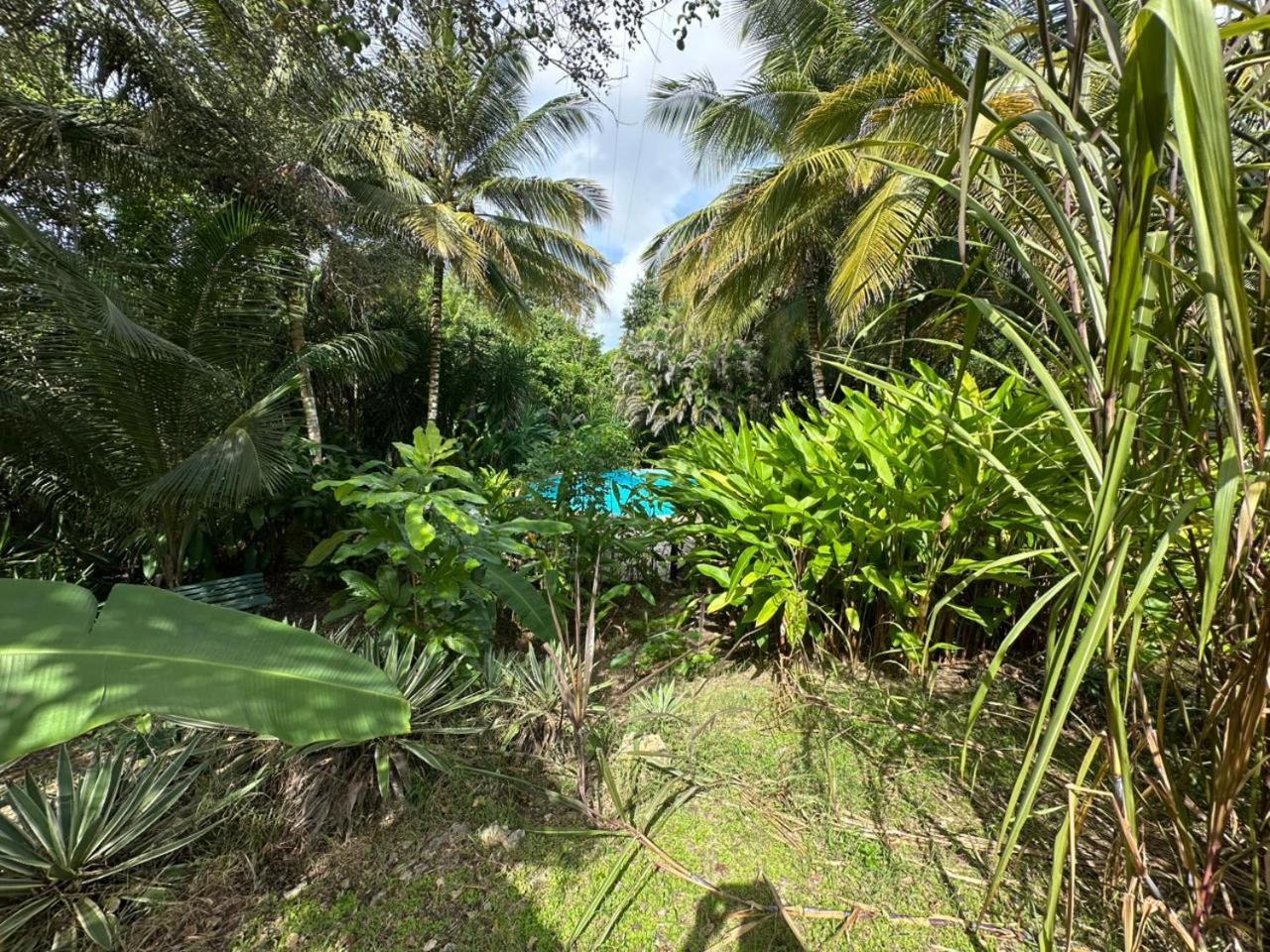 Gwada Reves Villa Sainte-Anne  Exteriör bild