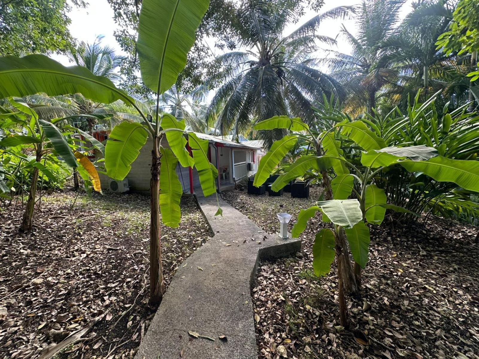 Gwada Reves Villa Sainte-Anne  Exteriör bild