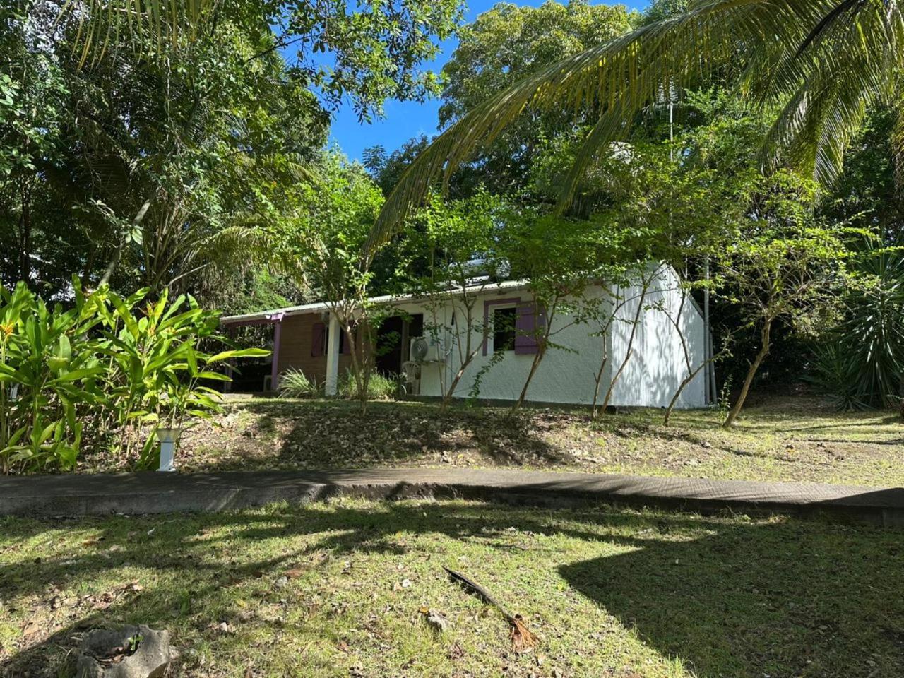 Gwada Reves Villa Sainte-Anne  Exteriör bild