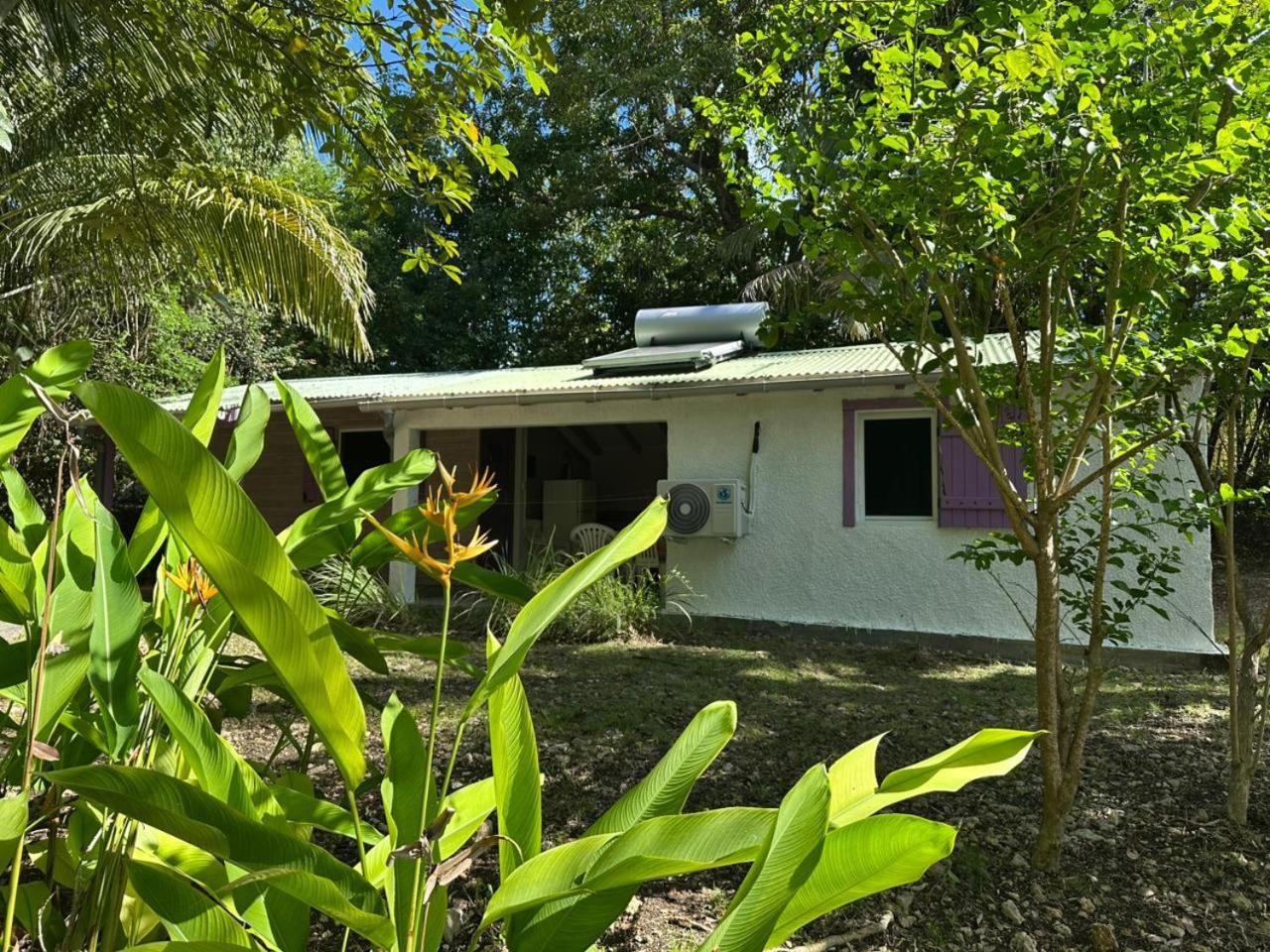 Gwada Reves Villa Sainte-Anne  Exteriör bild