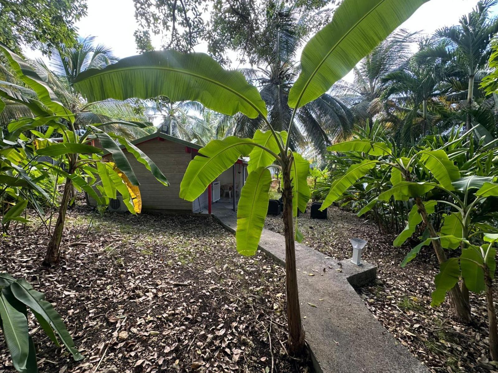 Gwada Reves Villa Sainte-Anne  Exteriör bild