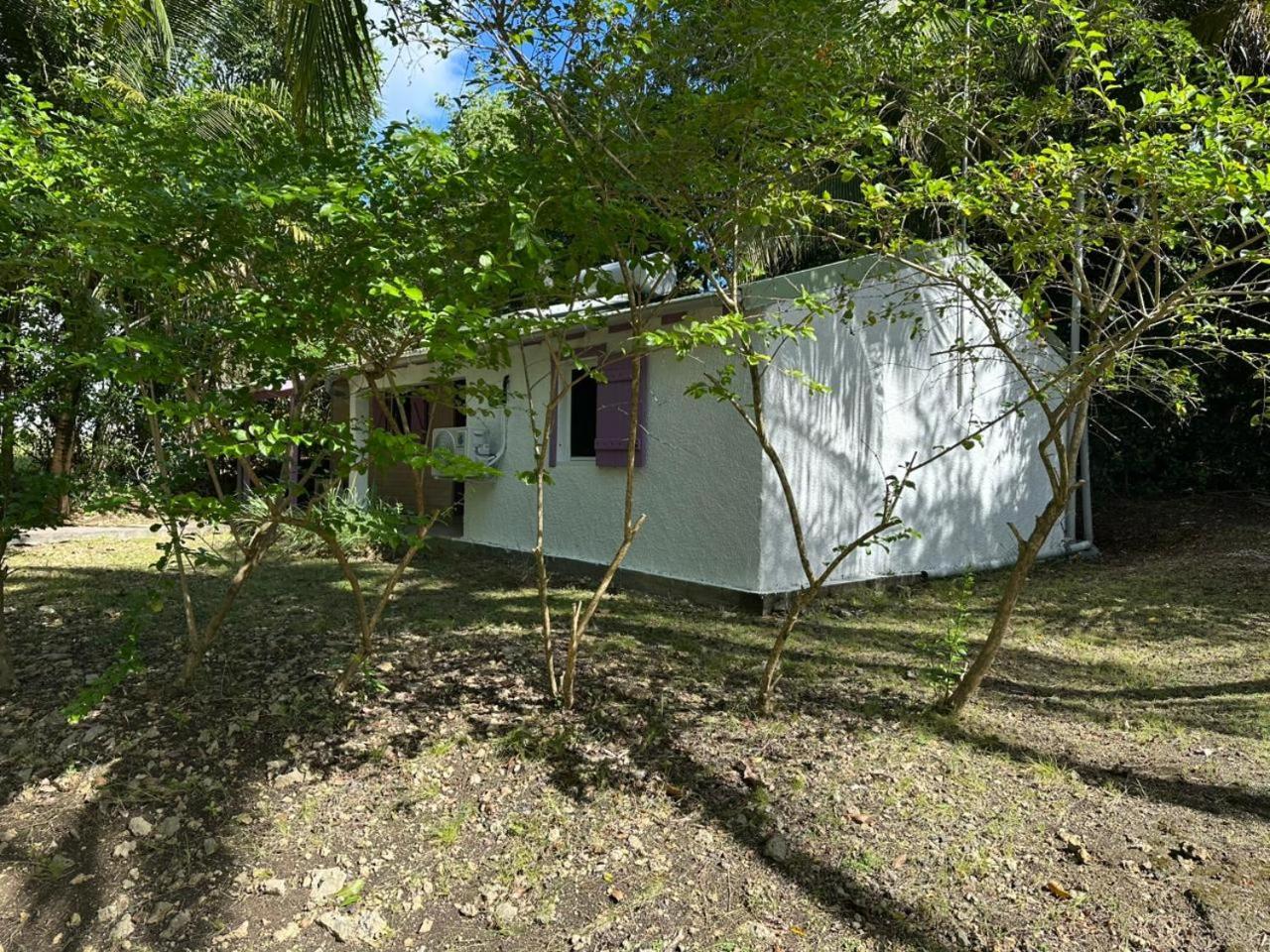 Gwada Reves Villa Sainte-Anne  Exteriör bild